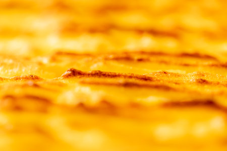 Background with the texture of baked, browned mashed potatoes close-up. Selected focus. Blurred background. High quality photoの写真素材