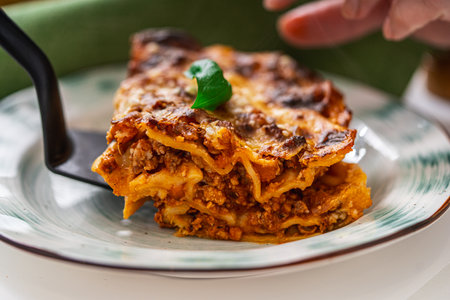A piece of lasagna is laid out of the mold on a plate. Close-up. A traditional Italian dish. High quality photoの写真素材