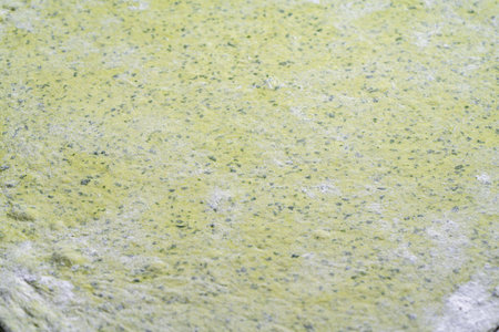 A piece of pasta on a light background and in a baking dish. Close-up. High quality photoの写真素材