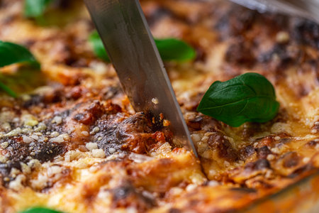 Lasagna in a baking dish according to a traditional Italian recipe is cut with a knife. Close-up. High quality photoの写真素材