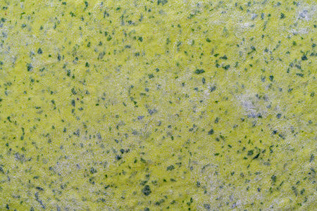 Background: raw, green pizza dough with herbs, spinach and basil. The concept of healthy eating. Use for a banner or menu template. Top view. High quality photoの写真素材