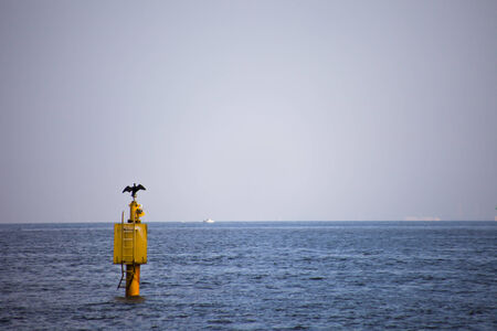 Birds and ocean buoyの写真素材