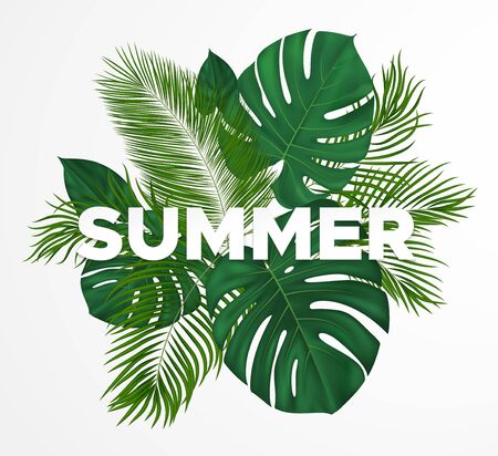 Summer tropical design with various green leaves. Vector plant background for leaflet, banner, printing.のイラスト素材