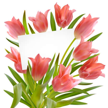 Bouquet of realistic pink tulips with greeting card on white background. Paper card in bright beautiful bouquet of tulips flowers and leaves. Postcard with space for text. Vector illustrationのイラスト素材