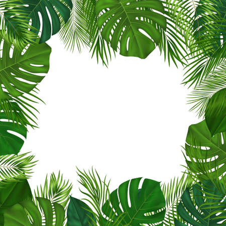 Summer tropical background with green palm leaves. Exotic botanical design with jungle plants for invitation, banner, poster. Vector illustrationのイラスト素材