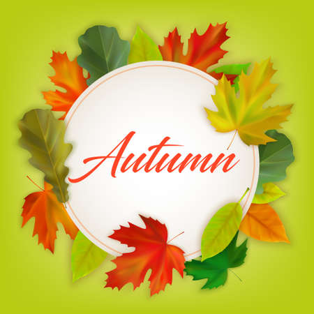 Realistic fall maple and oak leaves on color background with inscription Autumn. Autumn banner template, poster, postcard design. Vector illustrationのイラスト素材