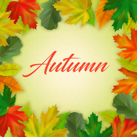 Realistic fall maple and oak leaves on color background with inscription Autumn. Autumn banner template, poster, postcard design. Vector illustrationのイラスト素材