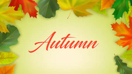 Autumn maple and oak leaves with inscription Autumn on color background. Autumn composition of realistic color fall leaves. Vector illustrationのイラスト素材