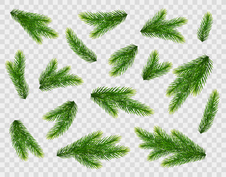 Christmas fir tree branches. Pine, spruce green branches isolated on transparent background. Christmas decorations. Vector illustrationのイラスト素材