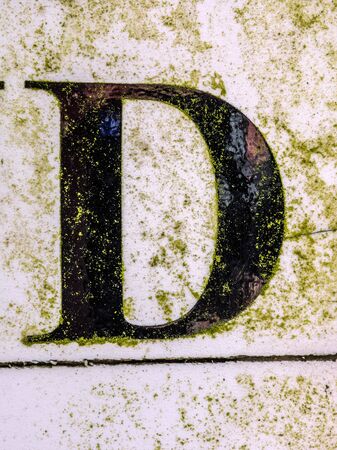 Written Wording in Distressed State Typography Found Letter Dの写真素材