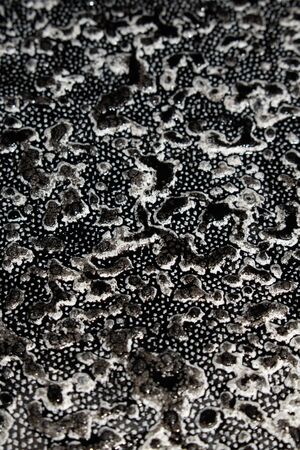 Black Ink Paint Splatter Drip on White Background
