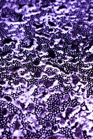 Black Ink Paint Splatter Drip on White Backgroundの写真素材