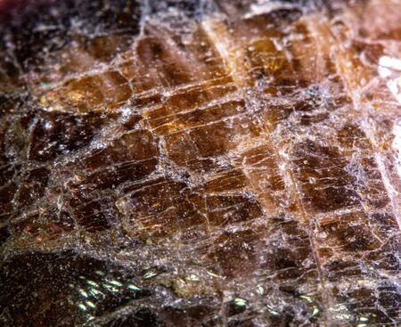 Close Up of a Healing Crystal Shiny Gemstone Precious Jewels