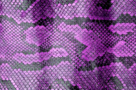 Coloured Real Snake Skin Snakeskin Animal Print Backgroundの写真素材