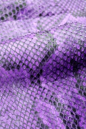 Coloured Real Snake Skin Snakeskin Animal Print Background