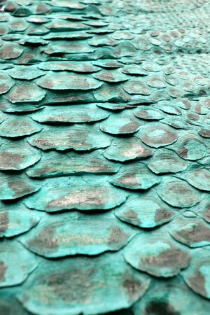 Coloured Real Snake Skin Snakeskin Animal Print Backgroundの写真素材