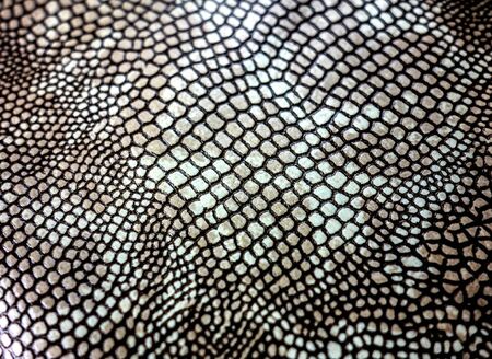 Coloured Real Snake Skin Snakeskin Animal Print Backgroundの写真素材