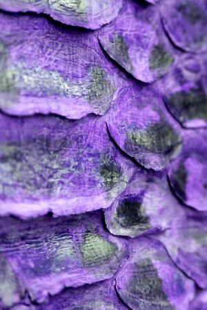 Coloured Real Snake Skin Snakeskin Animal Print Backgroundの写真素材