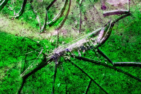 Smashed Screen Vandalised Broken Glass Close Upの写真素材