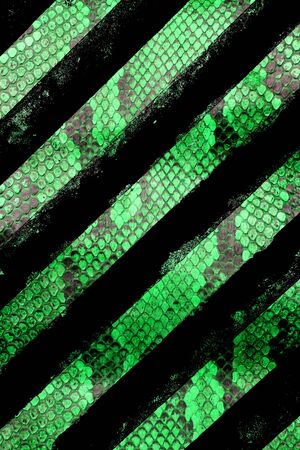Abstract Snakeskin or Animal Skin with Lines for Retro Background