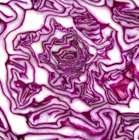 Sliced Red Cabbage Close Up on White Backgroundの写真素材