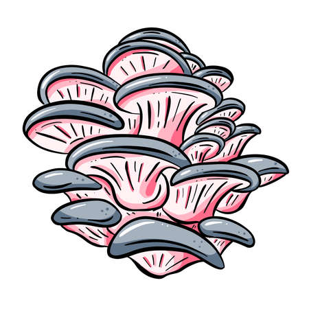 Fun Cartoon Mushroom Toadstool Character Vector Illustrationのイラスト素材