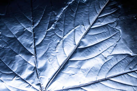 A Holographic Foil Leaf and Leaves with Veins Texture Shiny Pattern