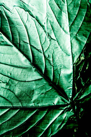 Holographic Foil Leaf and Leaves with Veins Texture Shiny Pattern