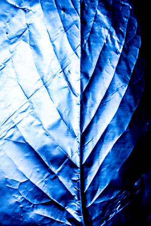 A Holographic Foil Leaf and Leaves with Veins Texture Shiny Patternの写真素材