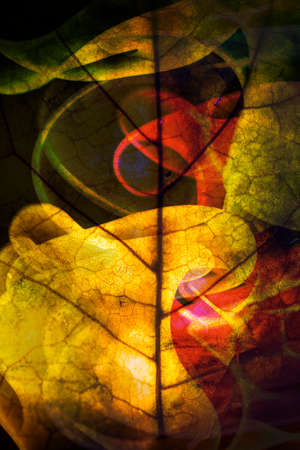 Abstract Swirls and Autumn Leaves Background Design
