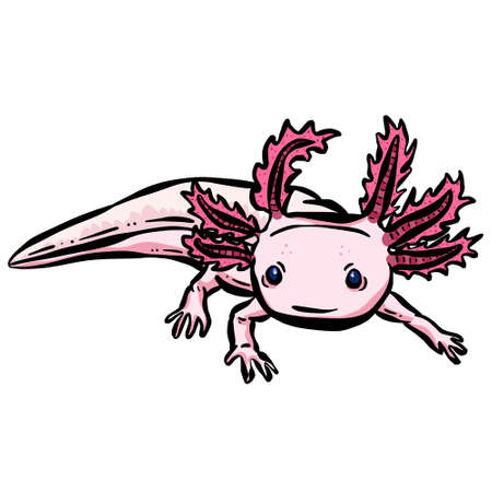 Axolotl Sea Creature Fish Logo Illustrationのイラスト素材