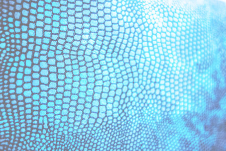 Coloured Real Snake Skin Snakeskin Animal Print Background