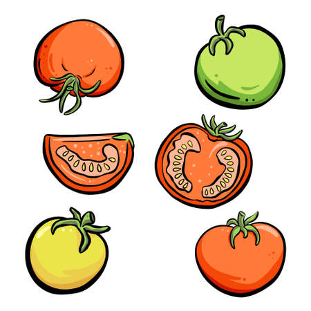 Cartoon Tomato Slice Skin Illustration Logo Collectionのイラスト素材