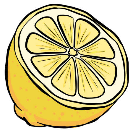 Cartoon Sliced Lemon Fruit Illustrationのイラスト素材
