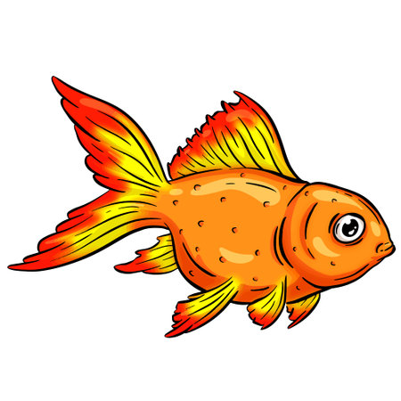 Goldfish. Vector illustration of a goldfish isolated on white background.のイラスト素材