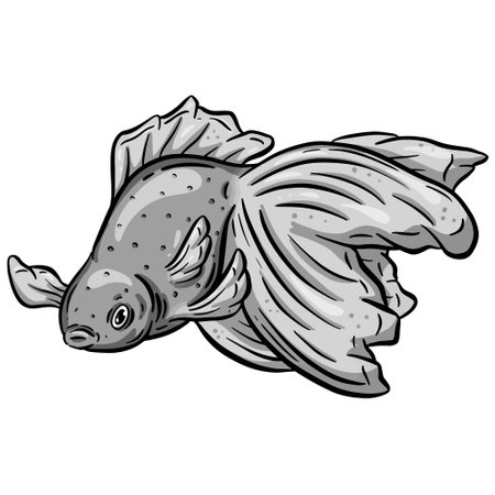Vector illustration of a goldfish on a white background. Isolatedのイラスト素材