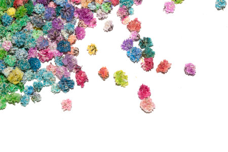 Pretty Floral Small Flowers Babies Breath On White Background for Weddings or Design