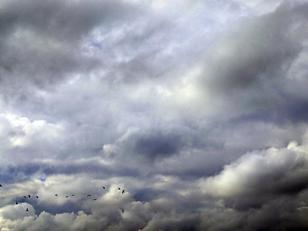 White Fluffy Raincloud Clouds in the Sky Atmospheric