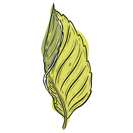 Tropical leaf icon. Vector illustration of a tropical leaf.のイラスト素材