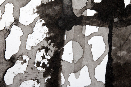 Thick Black and White Ink and Paint Splatters and Lines Abstract Backgroundの写真素材