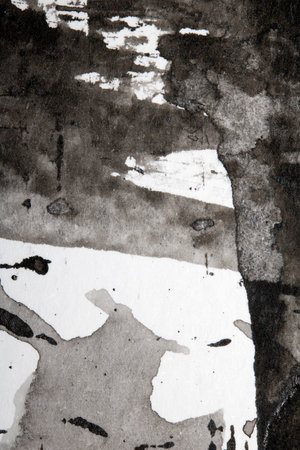 Thick Black and White Ink and Paint Splatters and Lines Abstract Backgroundの写真素材