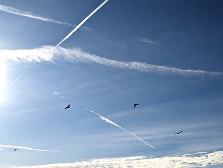 Blue Sky With Aeroplane condensation trails Contails in White Smoke for Background