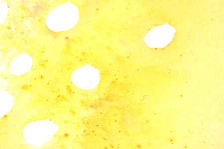 Splash of Watercolour Colourful Paint and Powder for Background Creative Flowの写真素材