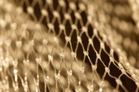 Small Netting Abstract Lattice Weave Mesh Background Plastic Packaging Close upの写真素材