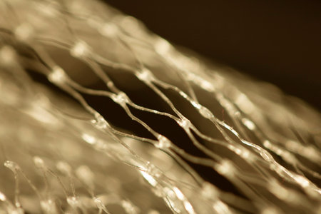 Small Netting Abstract Lattice Weave Mesh Background Plastic Packaging Close upの写真素材