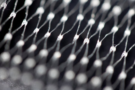 Small Netting Abstract Lattice Weave Mesh Background Plastic Packaging Close upの写真素材