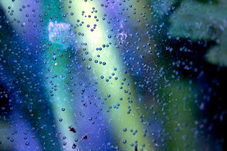 Close Up of Condensation Floating Liquid Water Bubbles and Drips on Glass from Rainの写真素材