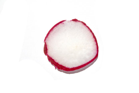A Slice of Radish on a White Backgroundの写真素材