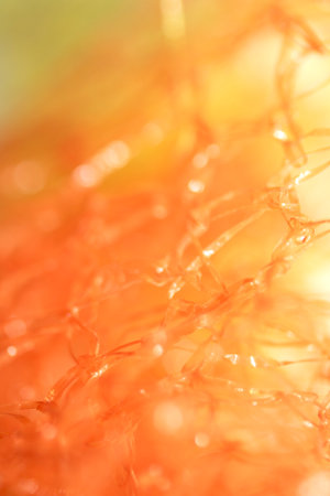 Orange and Yellow Mesh Abstract Wire Netting Background