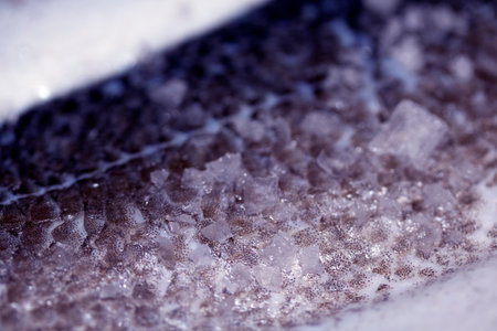 Close Up of Fish Skin and Scales With Sea Salt Abstract Macro Backgroundの写真素材